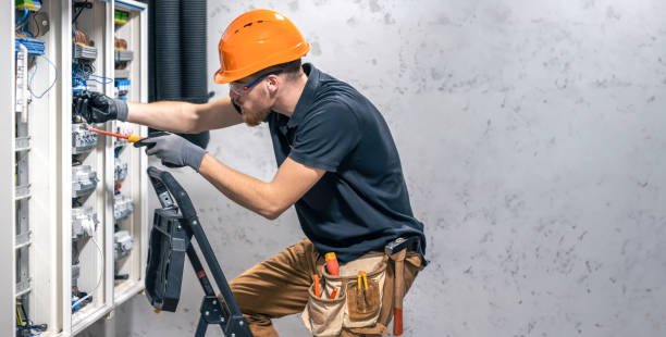 Best Electric Panel Repair  in Palestine, TX